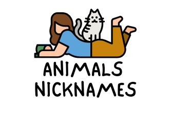 Animals Nicknames logo 2
